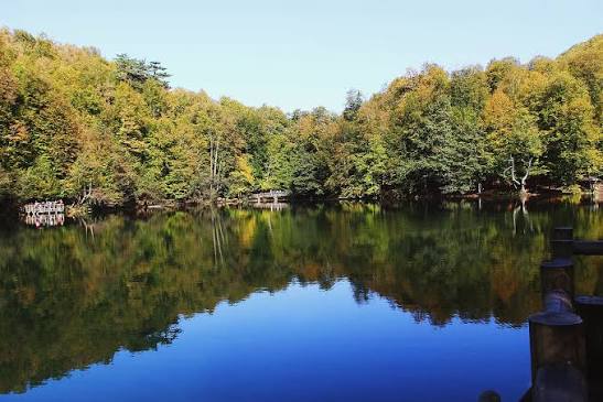 YEDİGÖLLER DÜZCE TOPUK YAYLASI TURU 2 GÜNLÜK