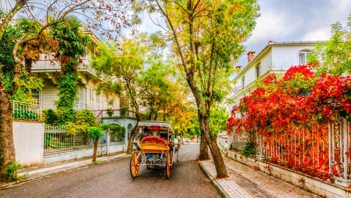 İSTANBUL SARAYLARI VE ADALAR TURU 3 GÜNLÜK