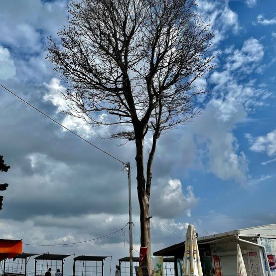 SAFRANBOLU AMASRA AKÇAKOCA TURU 4 GÜNLÜK