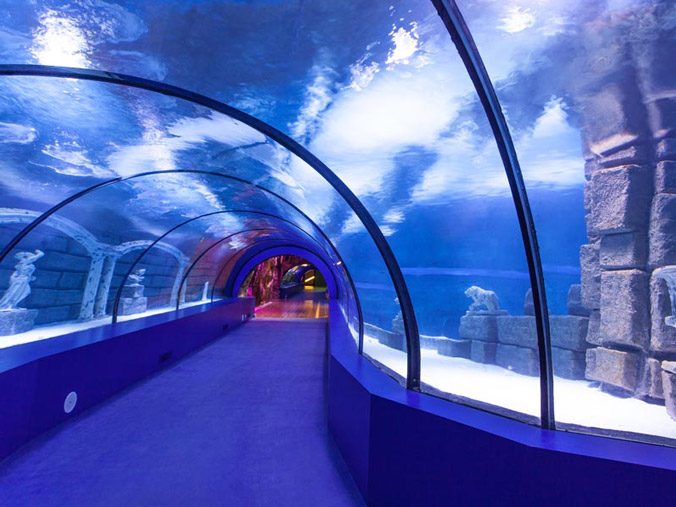 AQUARIUM AKVARYUM TURU